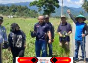 Dukung Program Bupati, Camat Lolayan Pimpin Penanaman Bibit Buah Buahan