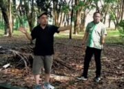 Taman Kota Lolak Sepi Dan Gelap, Bupati Yusra Alhabsyi Bakal Sulap Jadi Wisata Kuliner