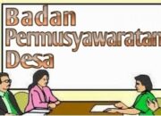 BPD Kobo Kecil di Sorot, Diduga Rangkap Jabatan P3K