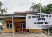 Terima SP 1, Kepengurusan KUD Perintis Tanoyan Terancam dibekukan