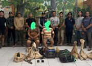 Satreskrim Polres Kotamobagu dan TNBNW Bekuk Pelaku PETI di Perkebunan Omomali