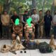 Satreskrim Polres Kotamobagu dan TNBNW Bekuk Pelaku PETI di Perkebunan Omomali