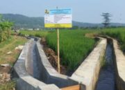 Kelompok Tani (P3A) di Bolmong Tegaskan Tak Pernah dimintai Uang Terkait Program P3-TGAI